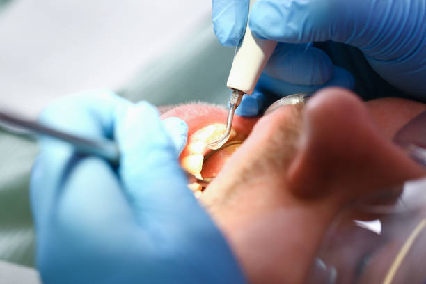 Best Emergency Dental Services for Seniors in Tracy City, TN